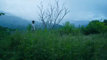 Backdrop to the movie "Days" #1632084