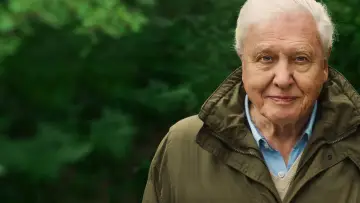 Backdrop to the movie "David Attenborough: A Life on Our Planet" #335036