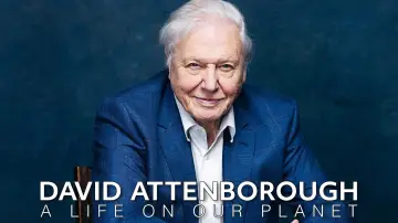 Backdrop to the movie "David Attenborough: A Life on Our Planet" #811998