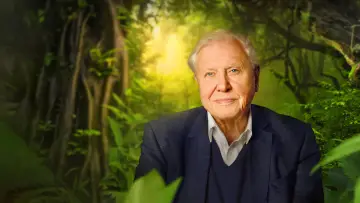 Backdrop to the movie "David Attenborough: A Life on Our Planet" #812001