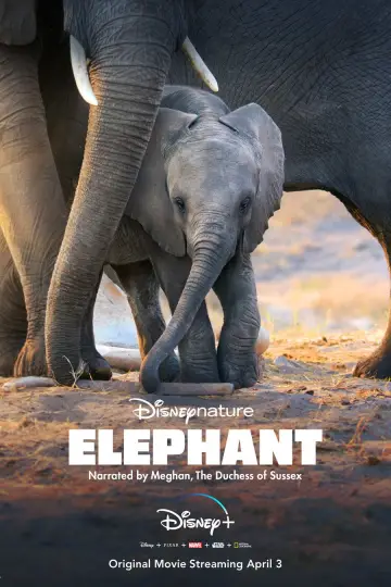 Poster to the movie "Elephant" #1078452