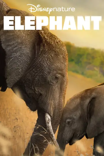 Poster to the movie "Elephant" #1078453