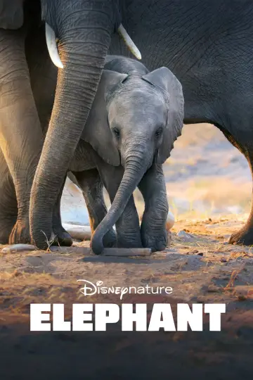 Poster to the movie "Elephant" #1078454