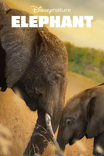 Poster to the movie "Elephant" #1078455