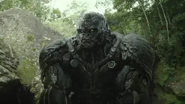 Backdrop to the movie "Transformers: Rise of the Beasts" #587714