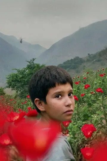 Poster to the movie "Prayers for the Stolen" #402983
