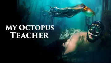 Backdrop to the movie "My Octopus Teacher" #122436