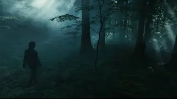 Backdrop to the movie "Return to Silent Hill" #508929