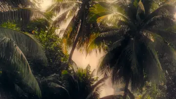 Backdrop to the movie "Pacifiction" #910822