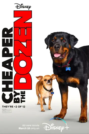Poster to the movie "Cheaper by the Dozen" #888112