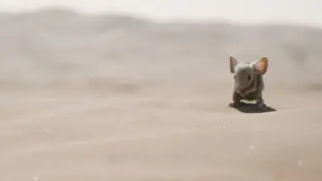 Backdrop to the movie "Dune: Part Two" #529072