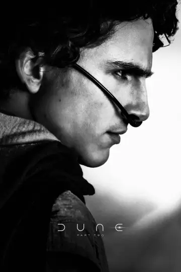 Poster to the movie "Dune: Part Two" #912951