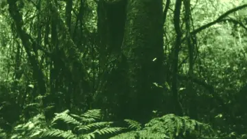 Backdrop to the movie "The Eyes in the Woods and the Taste in the Water" #1200166