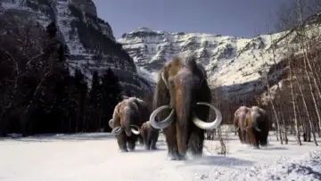 Backdrop to the movie "The Mammoth. Titan of the Ice Age" #983194
