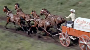 Backdrop to the movie "Chuckwagon" #1578841