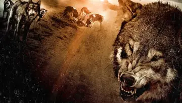 Backdrop to the movie "Wolf Town" #701305