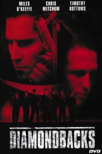 Poster to the movie "Diamondbacks" #1141502