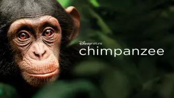 Backdrop to the movie "Chimpanzee" #1103493
