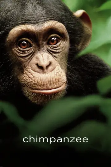 Poster to the movie "Chimpanzee" #1103501