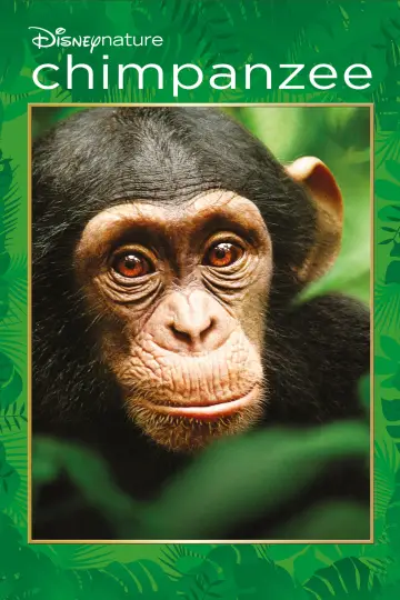 Poster to the movie "Chimpanzee" #1103502