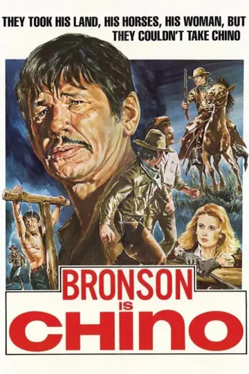 Poster to the movie "The Valdez Horses" #1111865
