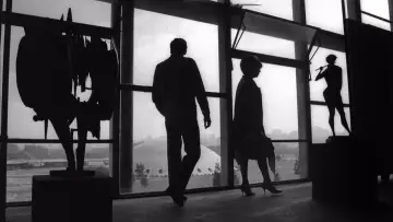 Backdrop to the movie "São Paulo, Incorporated" #534799