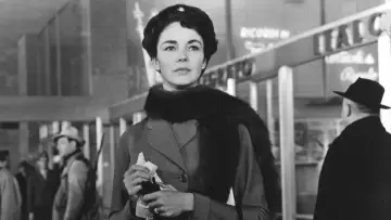 Backdrop to the movie "Indiscretion of an American Wife" #481877