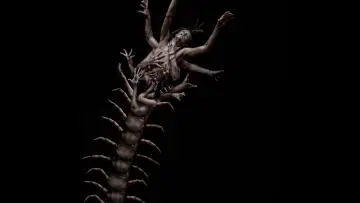 Backdrop to the movie "The Human Centipede 2 (Full Sequence)" #320725