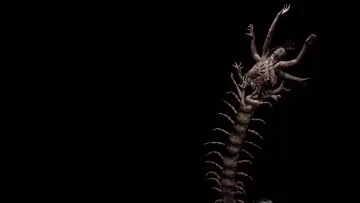 Backdrop to the movie "The Human Centipede 2 (Full Sequence)" #835451