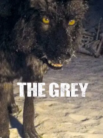 Poster to the movie "The Grey" #279120