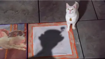 Backdrop to the movie "The Cat That Looked at a King" #1035554