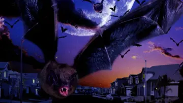 Backdrop to the movie "Fangs" #1140871