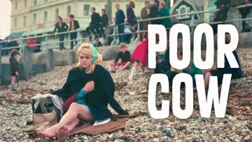 Backdrop to the movie "Poor Cow" #1141855