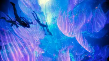 Backdrop to the movie "Avatar: The Way of Water" #161431