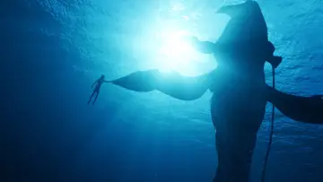 Backdrop to the movie "Avatar: The Way of Water" #520506
