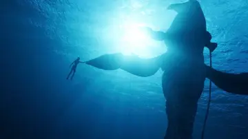 Backdrop to the movie "Avatar: The Way of Water" #520521