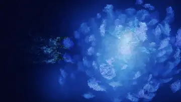 Backdrop to the movie "Avatar: The Way of Water" #520698