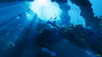 Backdrop to the movie "Avatar: The Way of Water" #520828