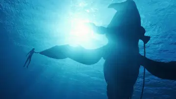 Backdrop to the movie "Avatar: The Way of Water" #520878