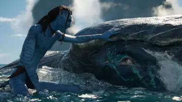 Backdrop to the movie "Avatar: The Way of Water" #958785