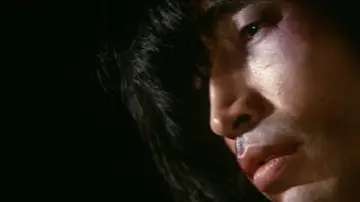 Backdrop to the movie "The Kyoto Connection" #933287