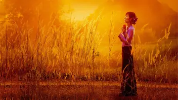 Backdrop to the movie "The Lady" #1057888