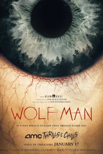 Poster to the movie "Wolf Man" #589350