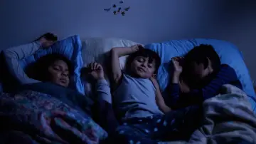 The Butterfly poster