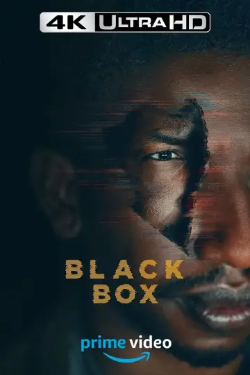 Poster to the movie "Black Box" #283786