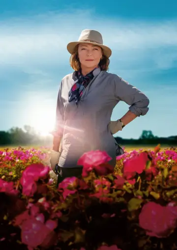 Poster to the movie "The Rose Maker" #445697