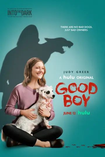 Poster to the movie "Good Boy" #1126541