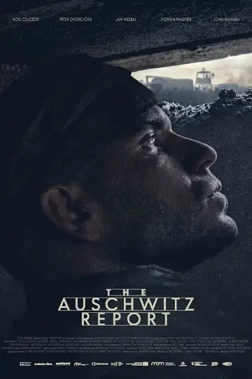 Poster to the movie "The Auschwitz Report" #703002