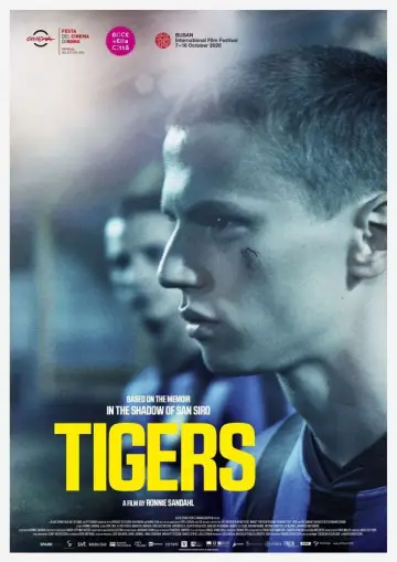 Poster to the movie "Tigers" #729677