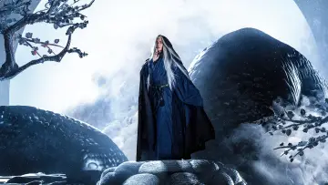 Backdrop to the movie "The Yin Yang Master" #1029573